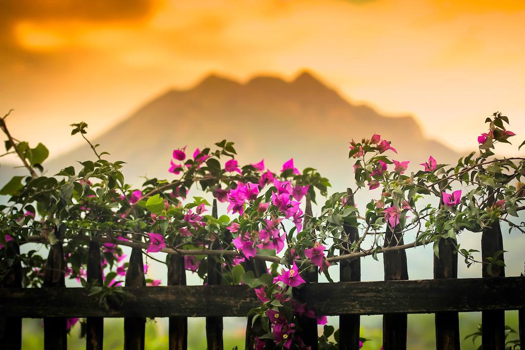 Casa Madre Tierra Hotel Vilcabamba Exterior photo