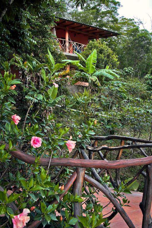 Casa Madre Tierra Hotel Vilcabamba Exterior photo